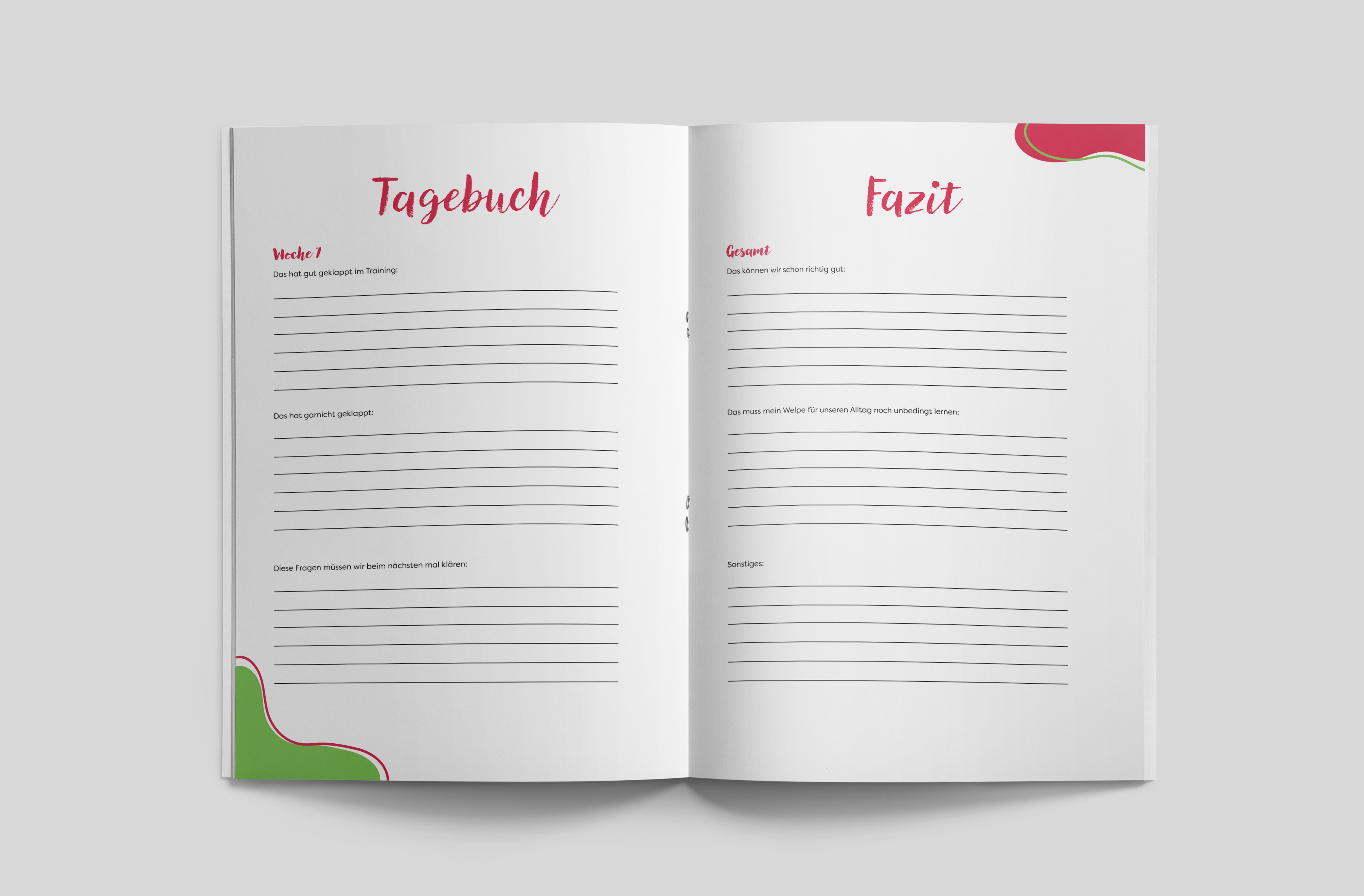 Tagebuch mit Fazit